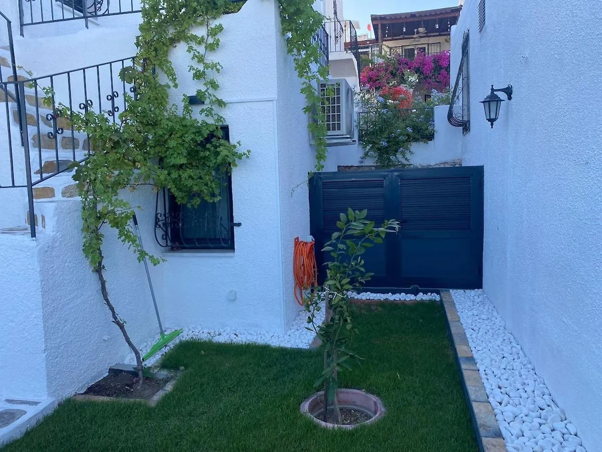度假居 Kun'S House - Your Summer House Is Ready! 博德鲁姆